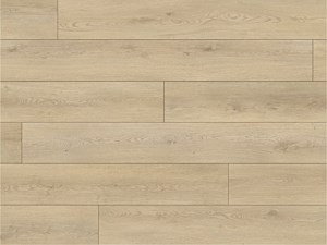 Paradigm Conquest Enchantment 9 x 72